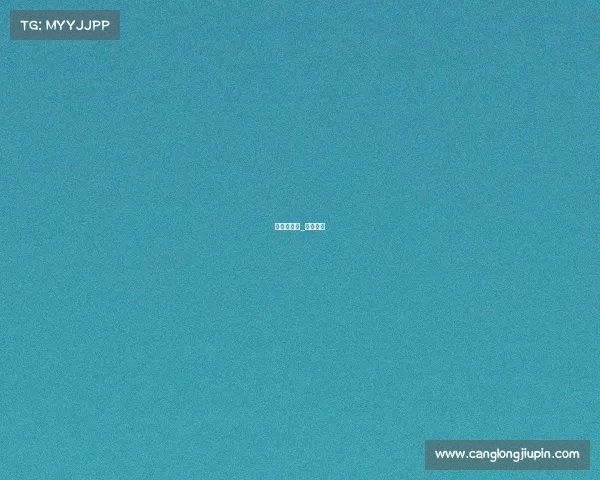 航海类赛事_航海比赛