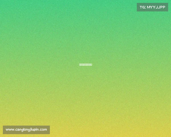 马刺队比赛录像回放